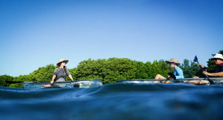 Kayakers paddling near mangrove shoreline on Siesta Key Florida, showing a popular outdoor water activity for this things to do on Siesta Key guide