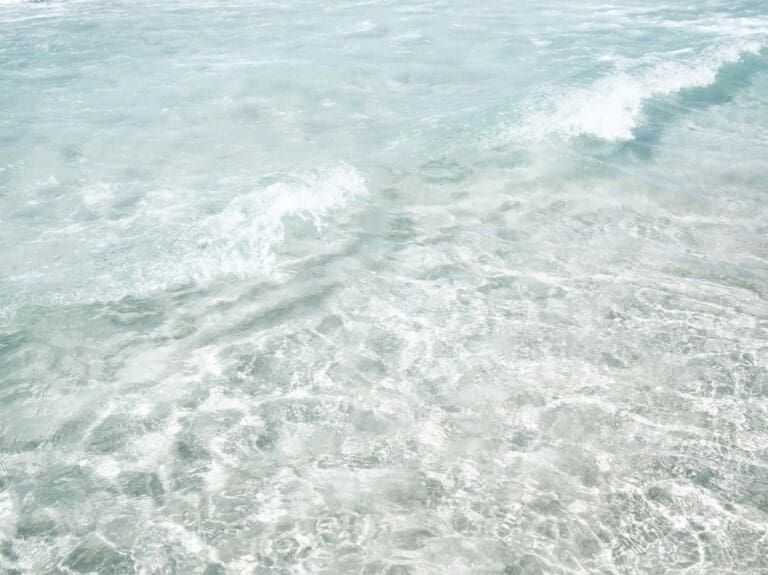siesta key water clarity clear shallow water