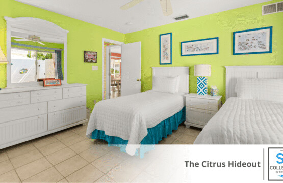 dd0d097dd53844c59878ad68c8256b6b.jpg